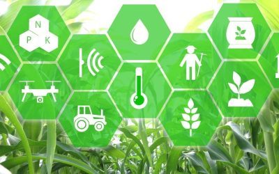 Sensores de Agricultura IoT: O Futuro da Agricultura Inteligente