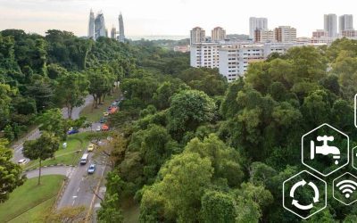 Sustentabilidade e Eficiência na Gestão Pública