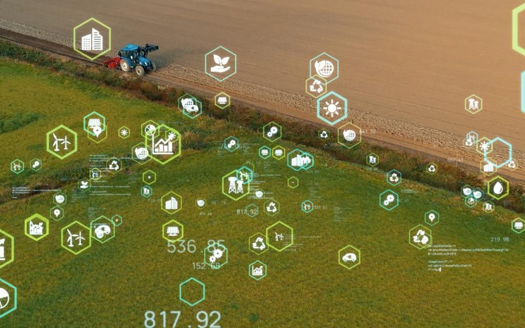 Agricultura Inteligente: Como o IoT e a Sensorização Estão a Transformar o Setor