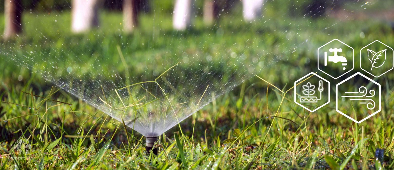 SmartHive – jardins iot Jardins Mais Inteligentes: Como as Estações Meteorológicas e Sensores IoT Melhoram a Gestão e a Sustentabilidade